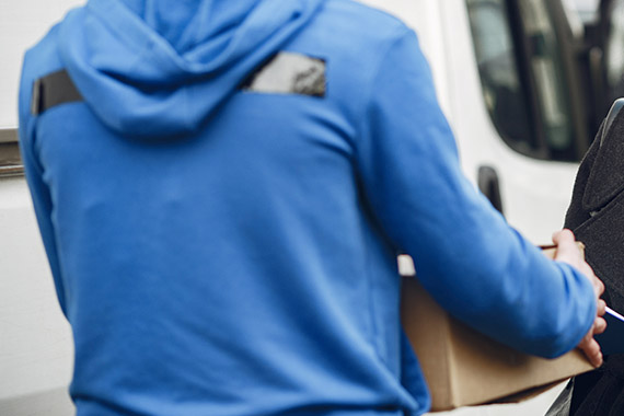 Domestic Courier Services